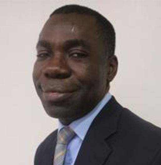Engr. Prof. Oyinkepreye David Orodu
